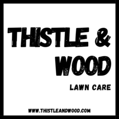 Thistle & Wood